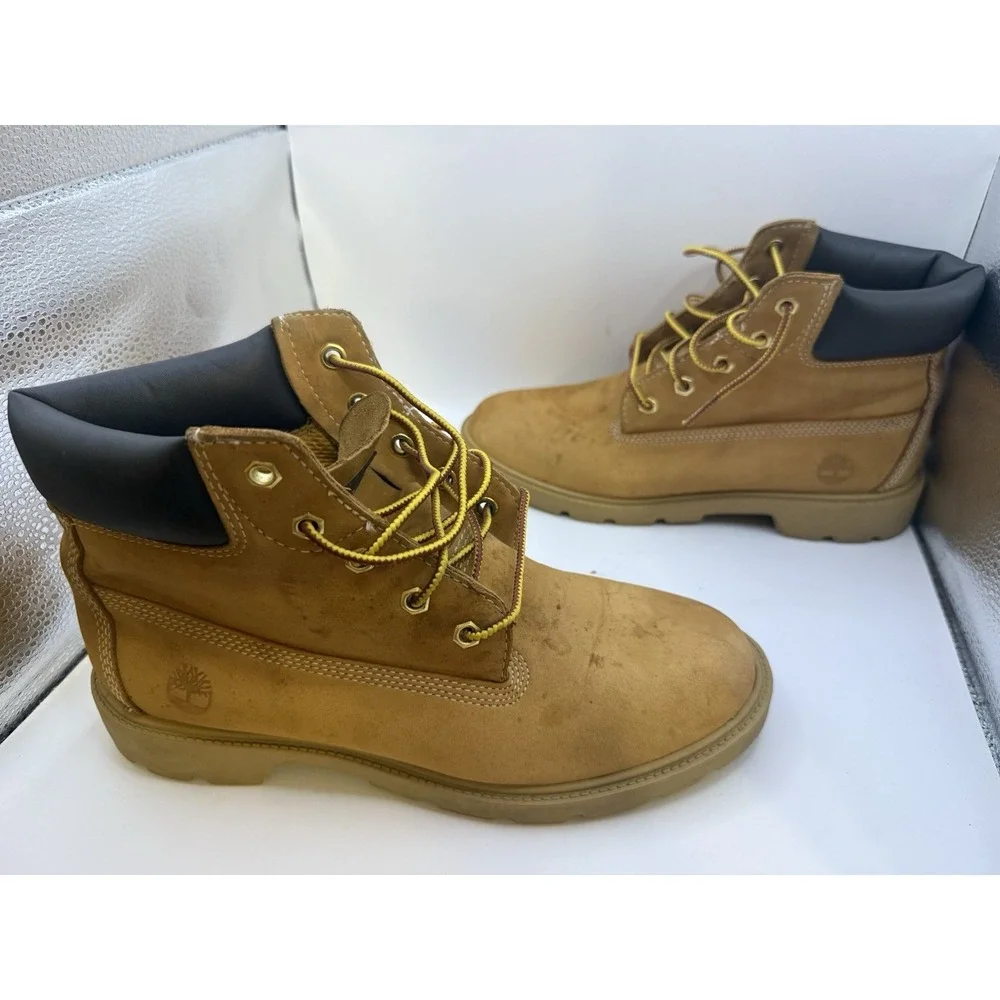 Timberland Men's 6